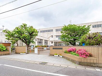 松戸市立南部小学校 1100m( 徒歩14分)