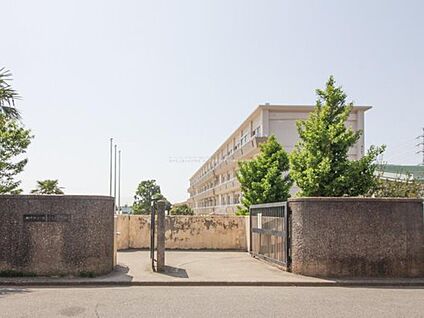 松戸市立栗ケ沢中学校 850m(徒歩11分)