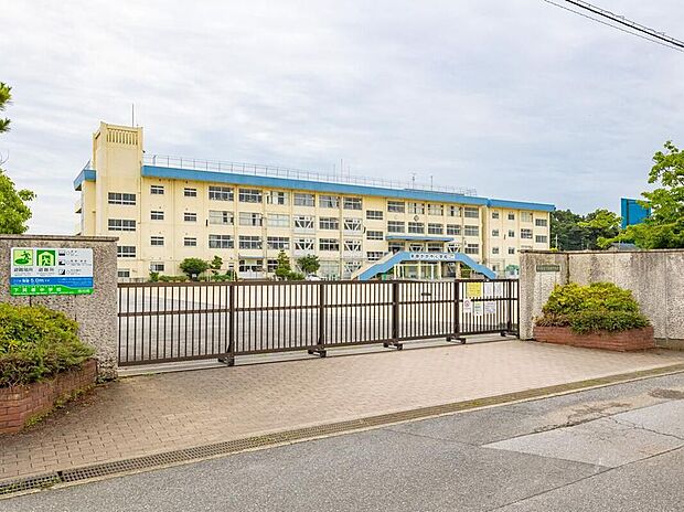 市川市立下貝塚中学校（約1,300m）