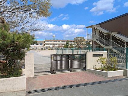 市川市立第二中学校 1700m (徒歩22分)