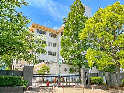 松戸市立河原塚小学校 1000m(徒歩13分)