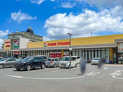 ヨークフーズ六高台店 747ｍ(徒歩10分)