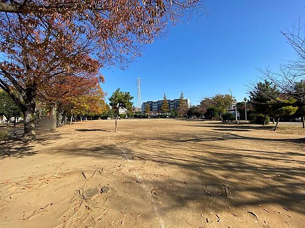 行徳駅前公園(約1,420m)