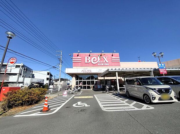ベルクス市川宮久保店（約600m）