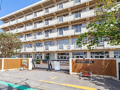 松戸市立六実第二小学校 900m(徒歩12分)