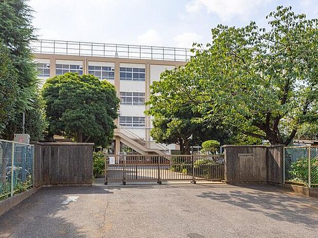 市川市立柏井小学校(約1,100m)