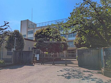 市川市立柏井小学校 450m (徒歩6分)