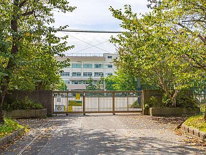 市川市立百合台小学校 280m(徒歩4分)