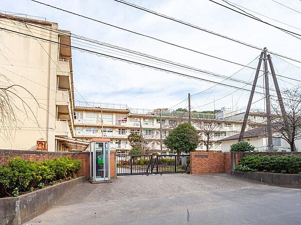 松戸市立第六中学校(約650m)