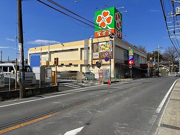 ライフ市川国分店(約550m)