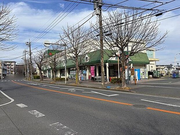 マルエツ小金原店(約650m)