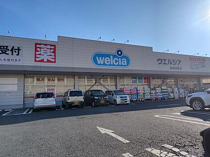 ウエルシア柏南増尾店 700m(徒歩9分)
