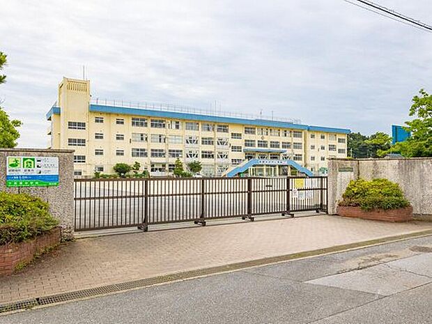 市川市立下貝塚中学校(約300m)