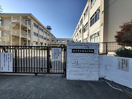 松戸市立稔台小学校 220ｍ(徒歩3分)