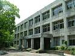 草津市立志津小学校
