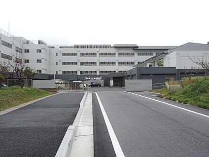 湖南市立石部小学校 徒歩700m