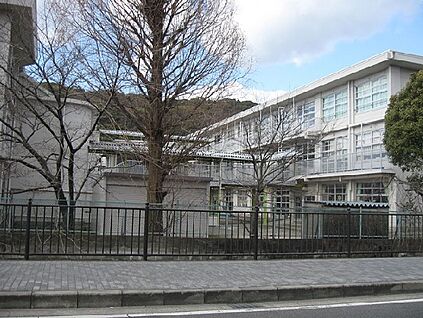 八幡市立八幡小学校 徒歩320m