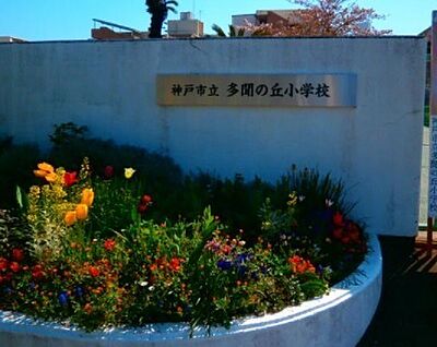 神戸市立多聞の丘小学校 徒歩250m