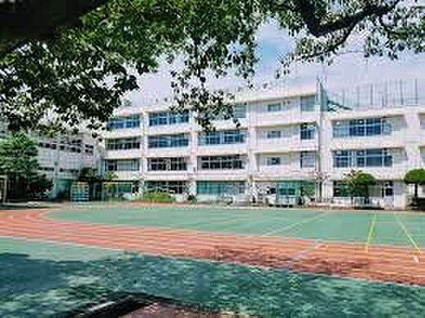 大田区立入新井第四小学校（約570m）