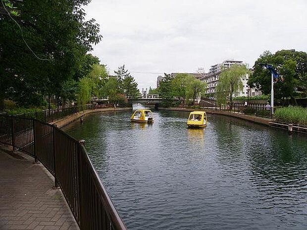 横十間川親水公園（約450m）