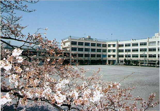 板橋区立上板橋第二中学校(約990m)