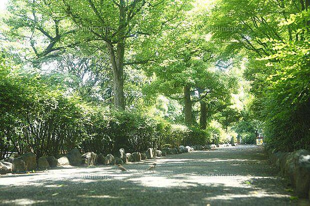洲崎川緑道公園（約940m・徒歩12分）