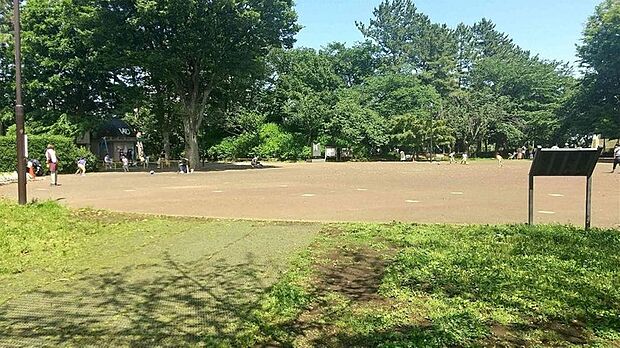 夢見ケ崎公園（約1,100m）