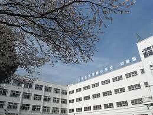 文京区立青柳小学校(約600m)
