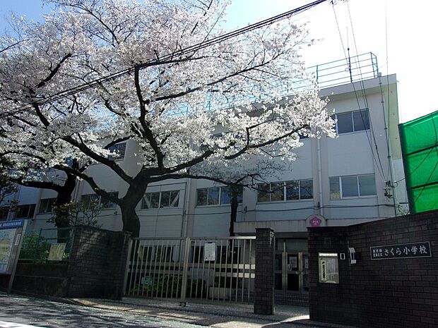 豊島区立さくら小学校(約200m・徒歩3分)