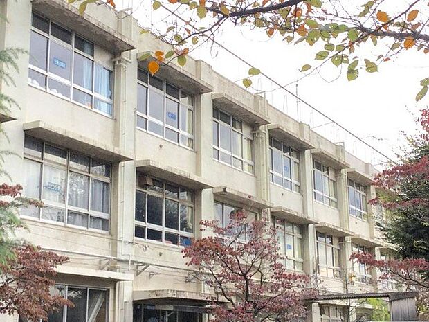葛飾区立綾南小学校（約500m）