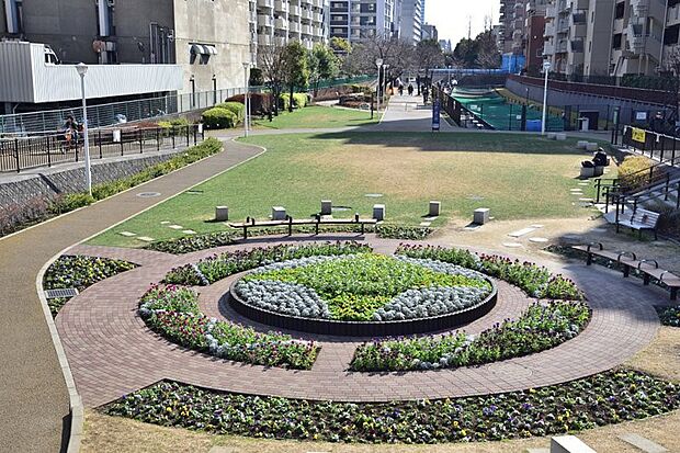 大横川親水公園（約600m）