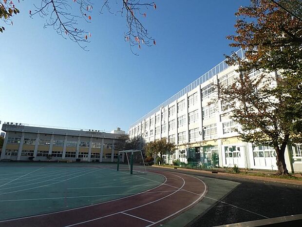 墨田区立寺島中学校(約576m)