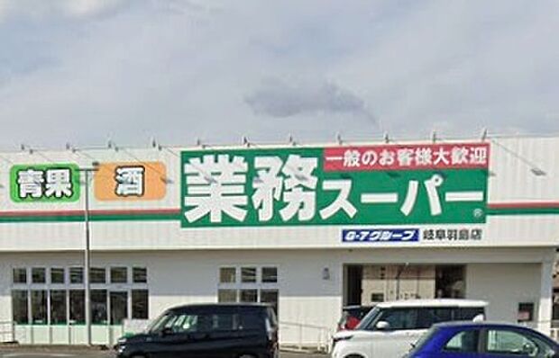 業務スーパー岐阜羽島店（約450m）