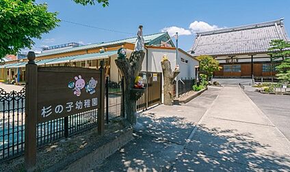 杉の子幼稚園 560ｍ(徒歩7分)