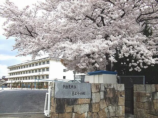 多治見市立養正小学校(約1,100m)