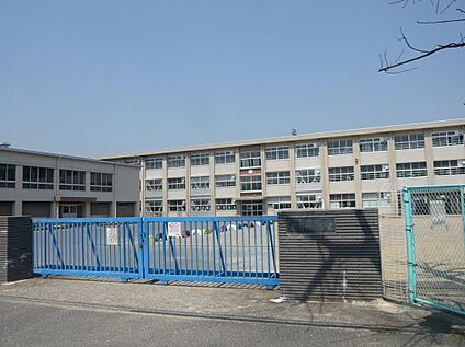 岐阜市立岩野田小学校 300ｍ(徒歩4分)