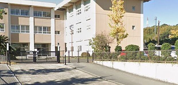 四日市市立桜小学校（約1,200m）