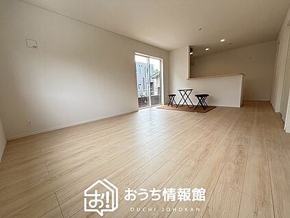 現地写真(リビング)