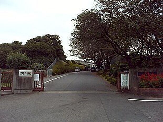 各務原市立陵南小学校(約810m)