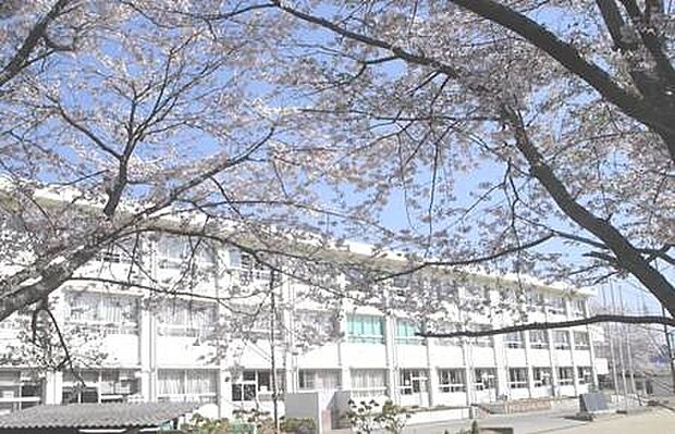 関市立桜ケ丘小学校(約150m)