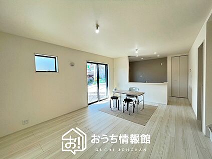 現地写真(リビング)