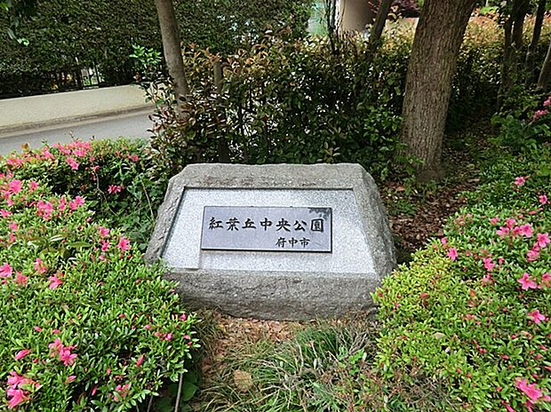 紅葉丘中央公園(約450m)