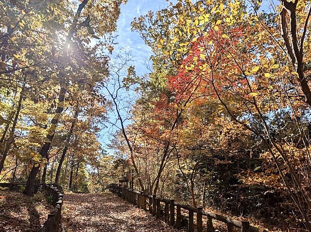 東大和公園(約400m)