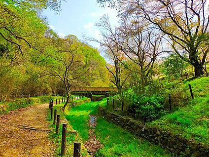 長沼公園 1800ｍ(徒歩23分)