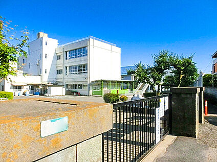 狛江市立狛江第三小学校 700m(徒歩9分)
