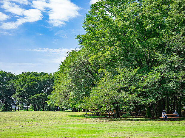 小金井公園(約2,800m)