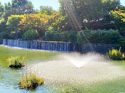 武蔵国分寺公園 1300ｍ(徒歩17分)