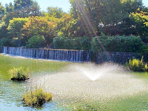 武蔵国分寺公園(約1,300m)