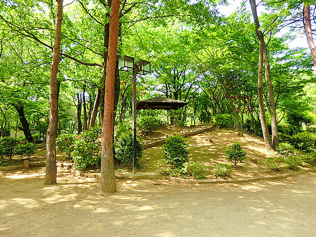 けやき公園(約1,500m)