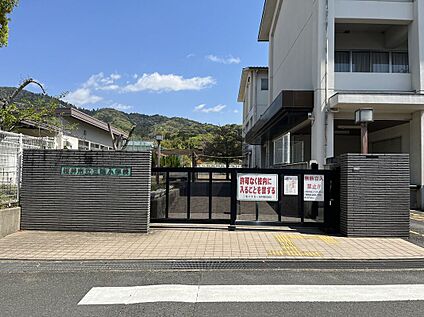 桜井市立三輪小学校 893ｍ